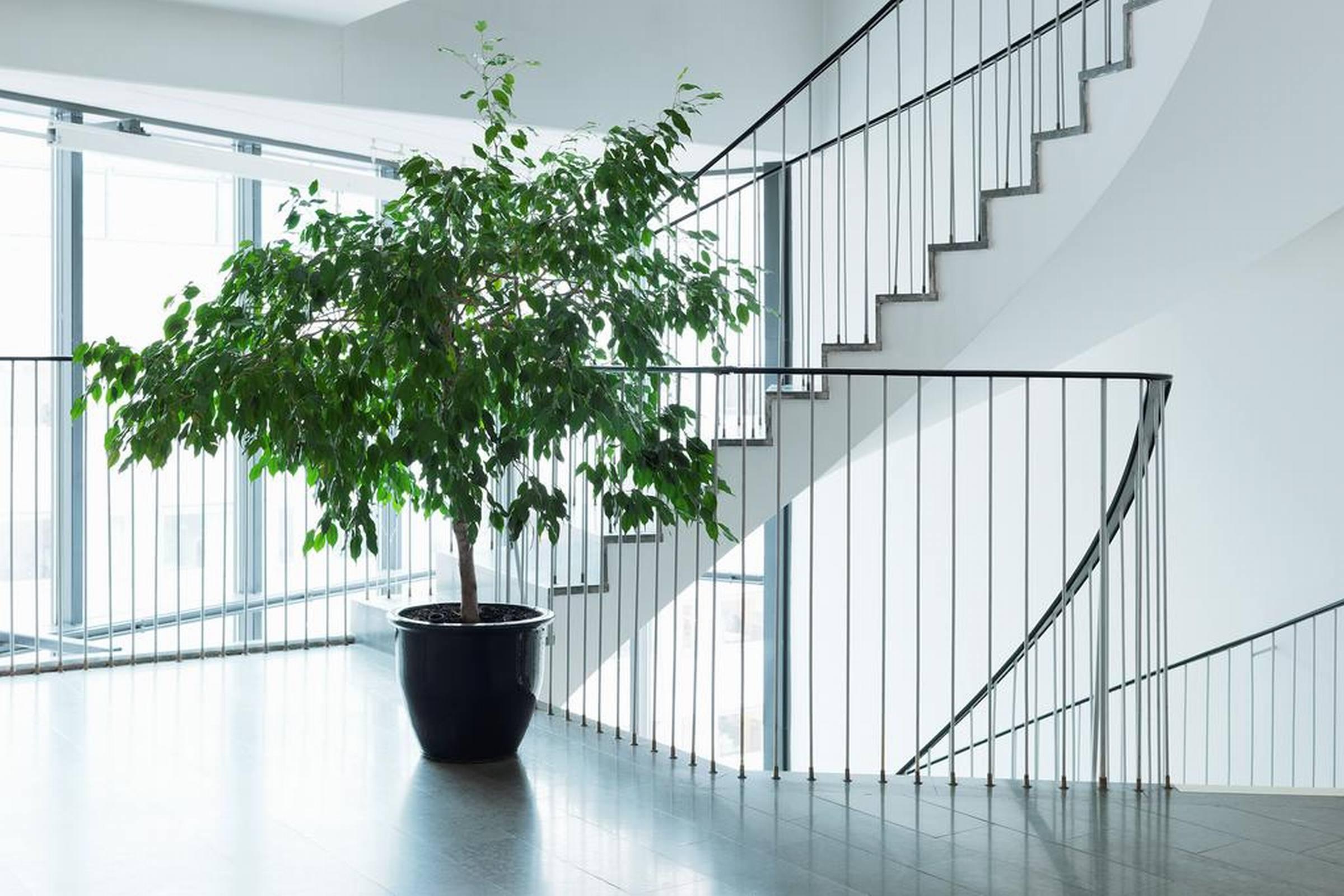 Scandic Park Stockholm Bagian luar foto